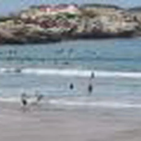 Brandneue Strandwohnung 2 By Interhome شقة فيريل