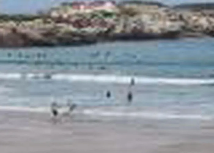 Brandneue Strandwohnung 2 By Interhome アパート フェレル